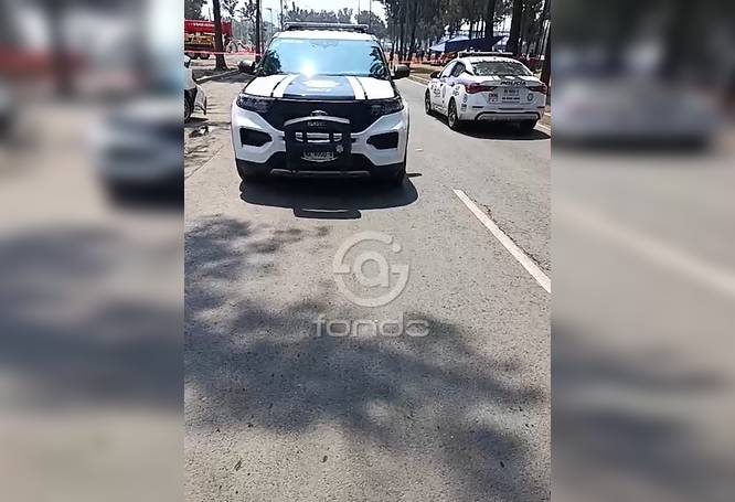 URGENTE: Luis y Daniel trabajaban cuando un trailero a toda velocidad los mató