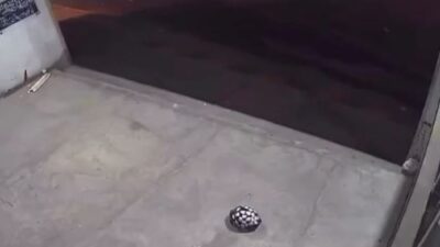 VIDEO: Delincuente apuñala a un joven aunque no se resistió al asalto