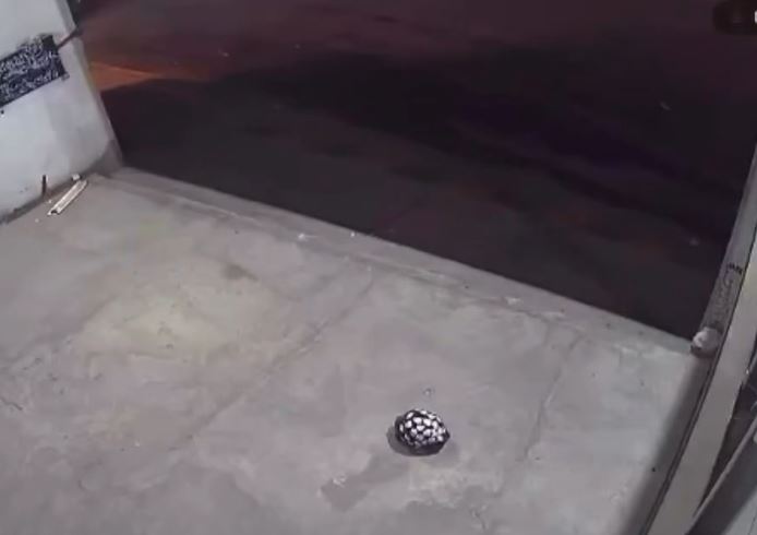 VIDEO: Delincuente apuñala a un joven aunque no se resistió al asalto