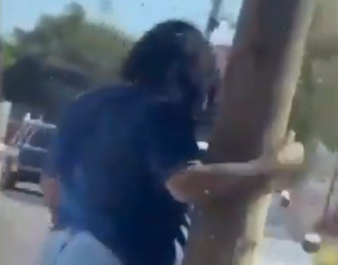 VIDEO: Soldado salva a una señora de morir picada por más de 200 abejas