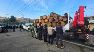 MAFIA: Descubren aserraderos controlados por grupos criminales en Edomex