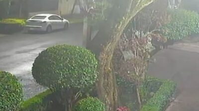 VIDEO: Ladrones de cables arriesgan su vida con tal de monedas ‘pa’ la piedra’