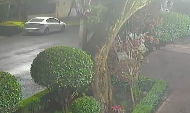 VIDEO: Ladrones de cables arriesgan su vida con tal de monedas ‘pa’ la piedra’