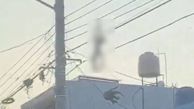 VIDEO: Mono araña sube a los cables y recibe una fuerte descarga eléctrica