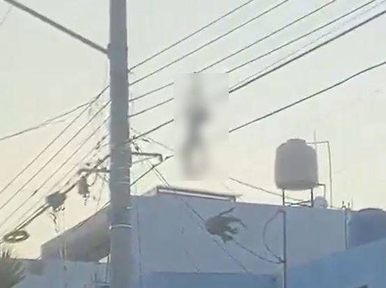 VIDEO: Mono araña sube a los cables y recibe una fuerte descarga eléctrica