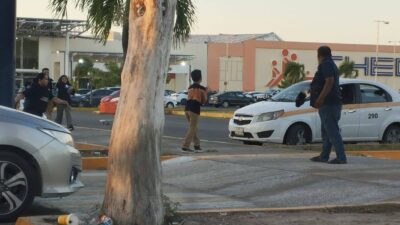 VIDEO: Cientos de abejas atacan a clientes y vendedores en una plaza comercial