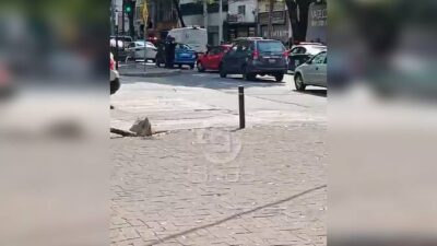 URGENTE: Señora cruzaba la avenida y una camioneta que pasaba la dejó sin vida