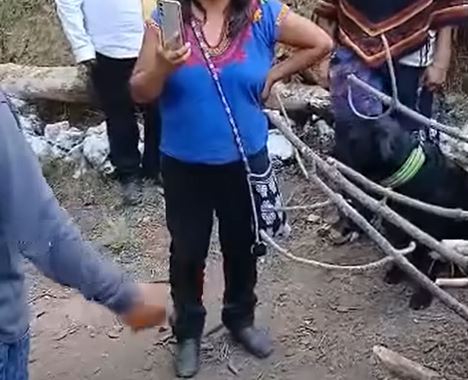 VIDEO. Pobladores casi linchan a mujeres por bañar a su perro y realizar ritual en un manantial