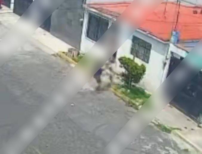VIDEO: Señora sufre brutal ataque de un perro pitbull; el dueño se hace ‘el occiso’