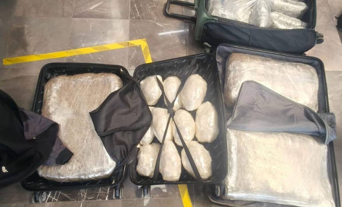 INCREÍBLE: Joven pretendía viajar en autobús con más de 47 kilos de ‘hierba’