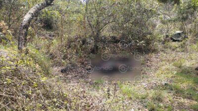 MACABRO. Fer era una mujer trans que desapareció el fin de semana; hoy lo encontraron calcinada