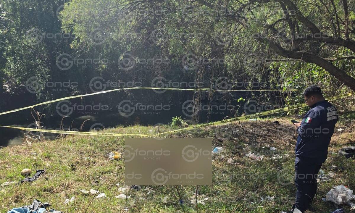 FEMINICIDIO #45. Encuentran cuerpo desnudo de una mujer cerca de una tienda Coppel en el Edomex