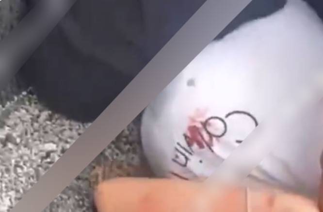 VIDEO: Mujer da brutal golpiza y descargas eléctricas a otra por ‘meterse’ con su esposo