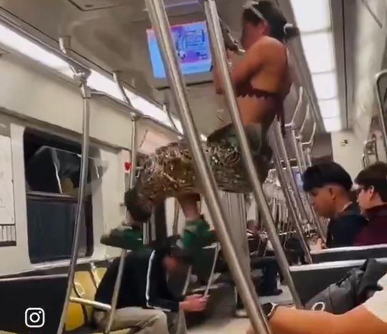 VIDEO: Mujer provoca incómodo y vergonzoso momento en un vagón del Metro