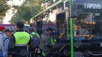 CAOS: Un árbol cayó sobre las vías y cientos de usuarios del Tren Ligero fueron afectados