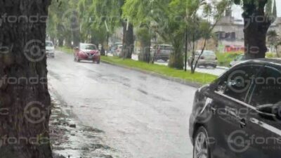 URGENTE: Mónica y Pedro discutieron en su casa y a ambos los encontraron muertos