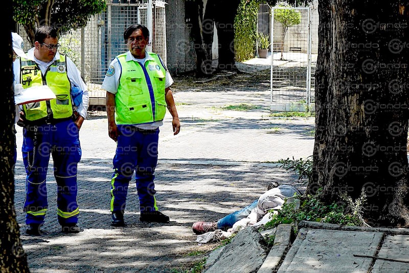 MACABRO. Cámaras graban el momento en que una mujer abandona el cadáver de su esposo abajo de un árbol