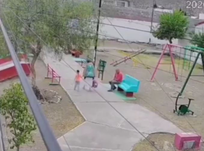 VIDEO: ‘¡Auxilio!’; abuela con su nieta es atacada a rocazos por un indigente