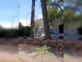 URGENTE: Trabajador podaba un árbol y muere al caer 10 metros afuera de un museo