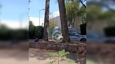 URGENTE: Trabajador podaba un árbol y muere al caer 10 metros afuera de un museo