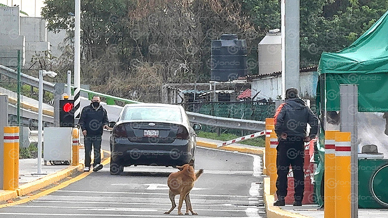 VIDEO. Policías del Edomex quitan las plumas para no pagar peaje en casetas