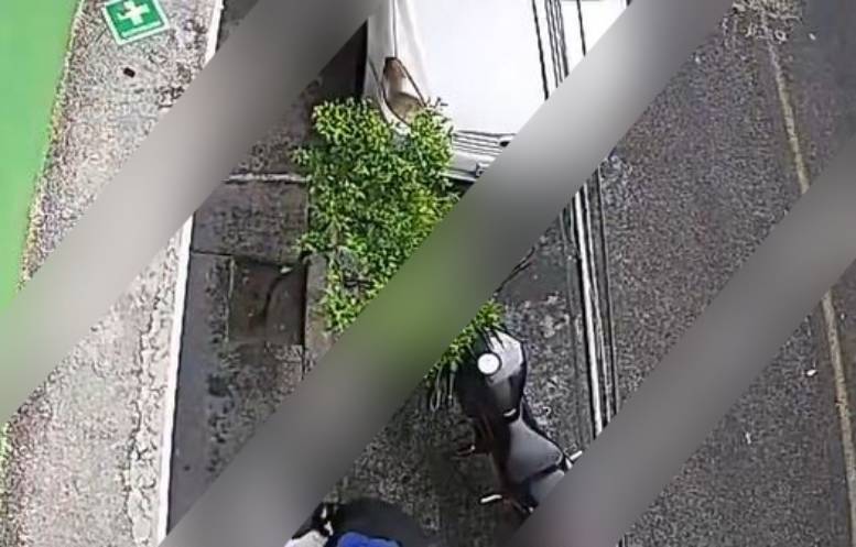 VIDEO: Alan tomaba con su vecino y terminó con un disparo por ‘estar jugando’