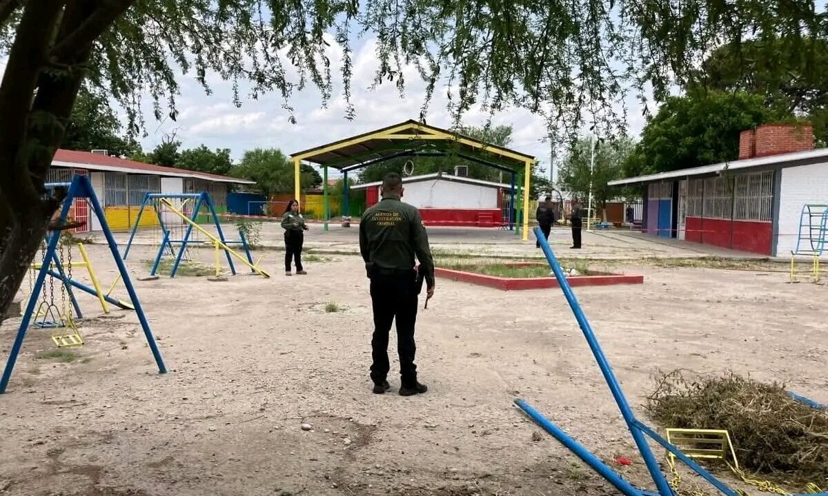 DESGARRADOR: Ian tenía 6 años cuando el columpio del kínder se zafó y murió