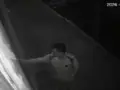 VIDEO. Criminal incendia negocios cerrados sin motivo alguno en Edomex
