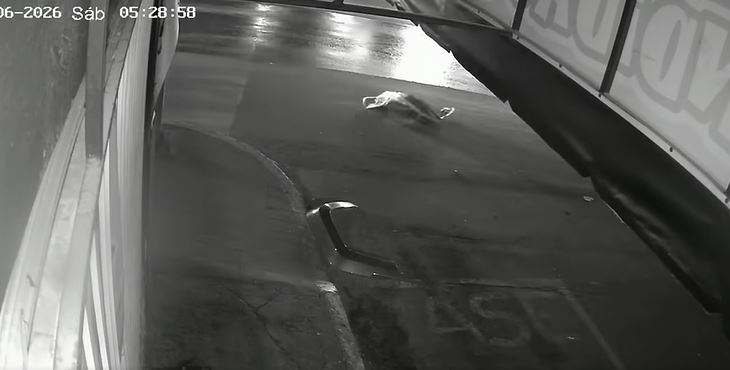VIDEO: Difunden momento en que un señor muere arrollado y el conductor huye