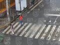 VIDEO: Difunden momento en que dos mujeres abandonan un feto en calles de Edomex