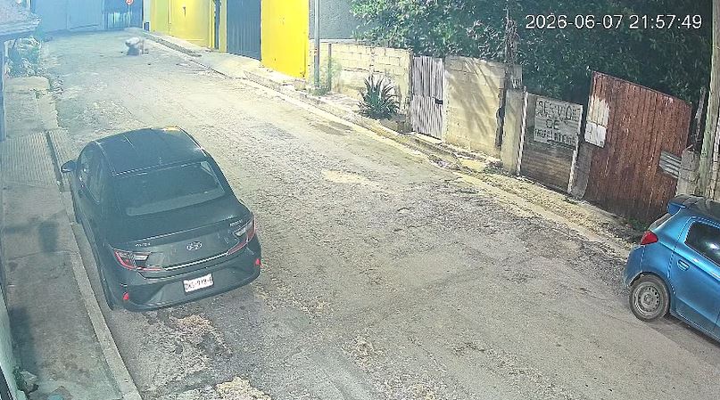 VIDEO: Abuelo carnicero apuñala sin motivo 10 veces a un joven que pasaba