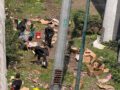 URGENTE: Trailero pierde el control y sufre volcadura sobre un puente; llevaba limones que quedaron regados