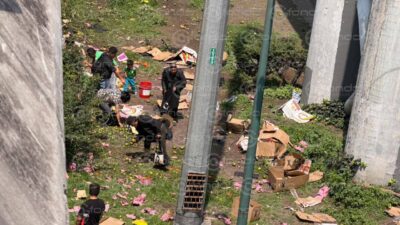 URGENTE. Trailero pierde el control y sufre volcadura sobre un puente; llevaba limones que quedaron regados