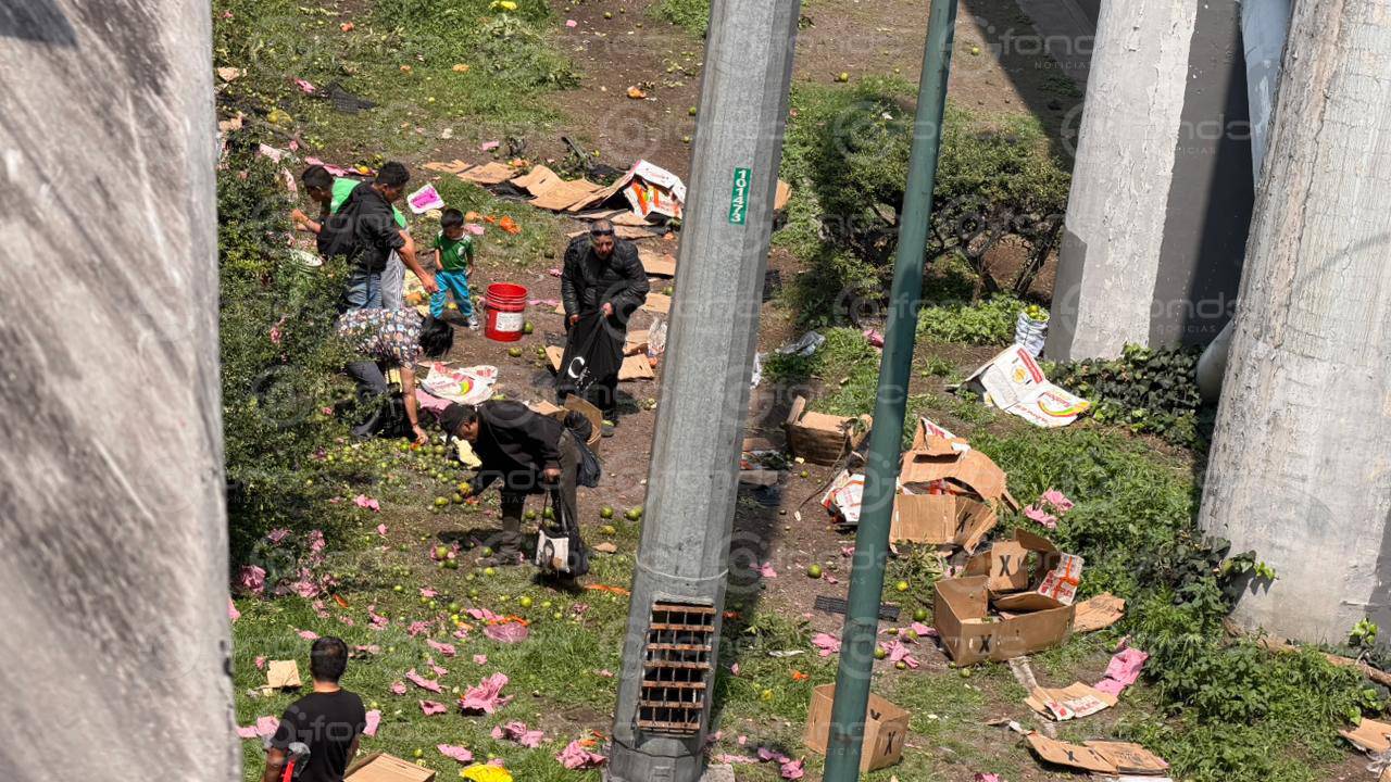 URGENTE. Trailero pierde el control y sufre volcadura sobre un puente; llevaba limones que quedaron regados