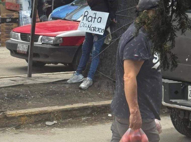 FURIA: ‘Rata de mercado’; comerciantes someten y amarran a un árbol a una mujer
