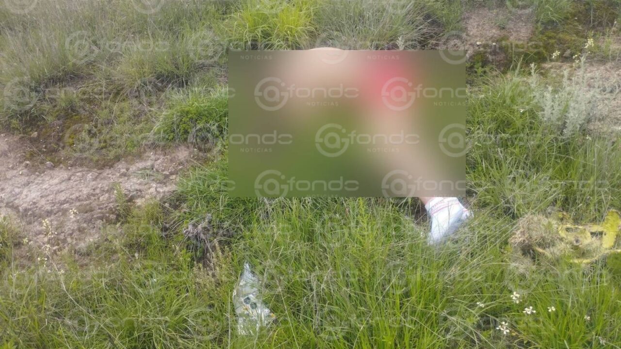 VIOLENCIA. Llevan a un hombre en ropa interior junto a la carretera y lo ejecutan