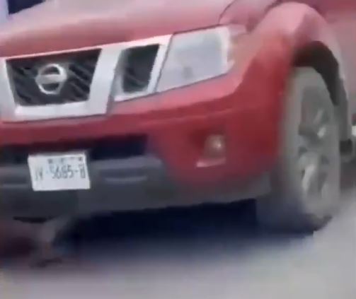 VIDEO: Mujer golpea brutalmente a una niña de secundaria y otra la pasa su camioneta encima