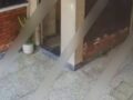 VIDEO: Hombre recibe golpiza y vive un infierno durante robo en su propia casa