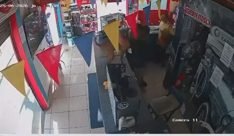 VIDEO: ‘Canino mundialista’; perrito se hace viral por festejar el gol de su selección