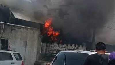 INHUMANO: Dos perritos vivían encadenados y mueren calcinados en un incendio
