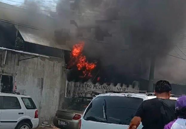 INHUMANO: Dos perritos vivían encadenados y mueren calcinados en un incendio