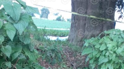 FULMINANTE: Francisco Javier se refugió bajo un árbol durante la lluvia y le cayó un rayo