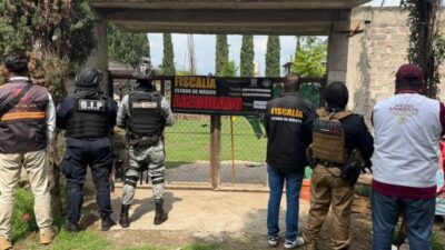 INDIGNANTE: Un traficante tenía pumas, un león, un tigre y otros animales en mal estado