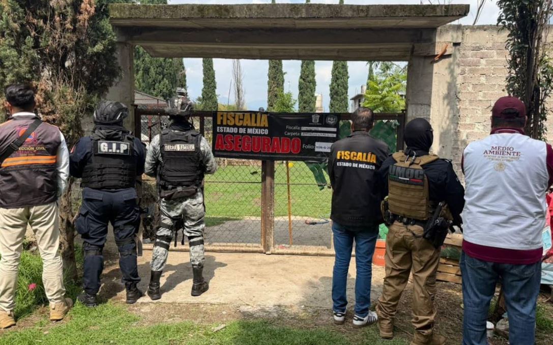 INDIGNANTE: Un traficante tenía pumas, un león, un tigre y otros animales en mal estado