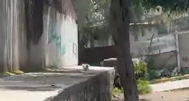 TERRIBLE: Niño de 7 años muere golpeado por su padrastro que huyó