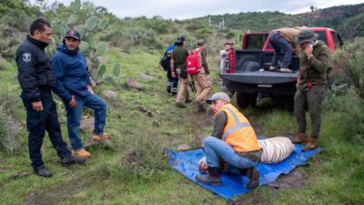 DRAMA: ‘Kenzo’ escapó de un refugio en Edomex y murió cuando lo intentaban rescatar