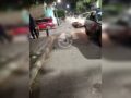 VIDEO: Policías arrollan y matan a un presunto delincuente que escapaba en moto