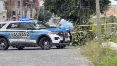URGENTE: Hombre sube a un árbol a cortar capulines, cae y muere de un golpe