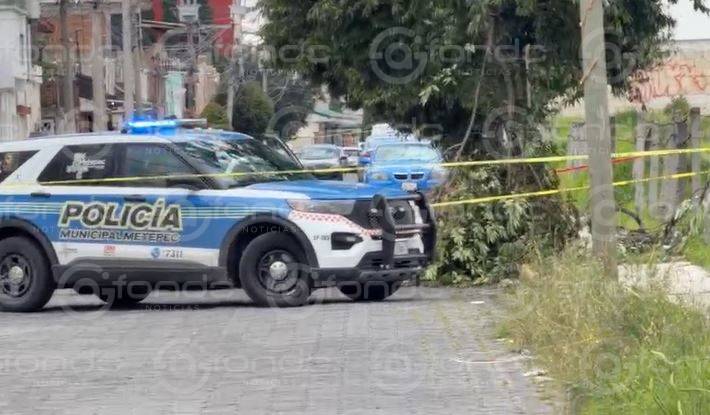 URGENTE: Hombre sube a un árbol a cortar capulines, cae y muere de un golpe