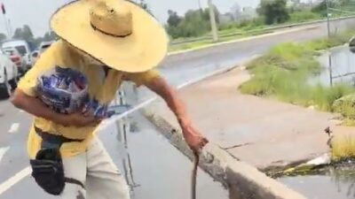VIDEO: ‘Qué valor…’; vendedor de dulces controla y reubica a una víbora en la carretera